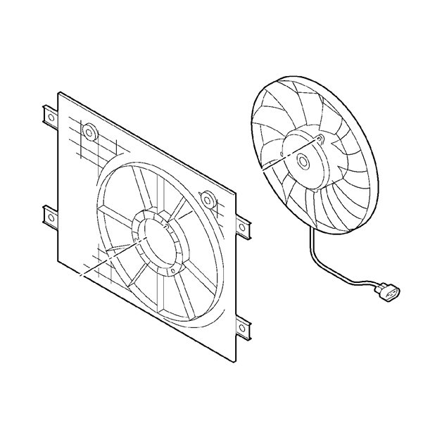 Fan