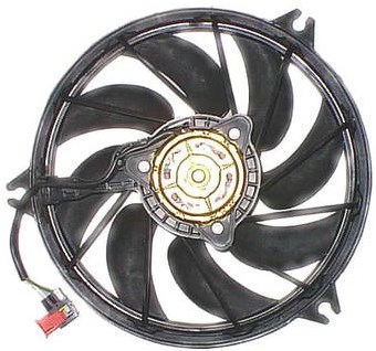 Fan Motoru