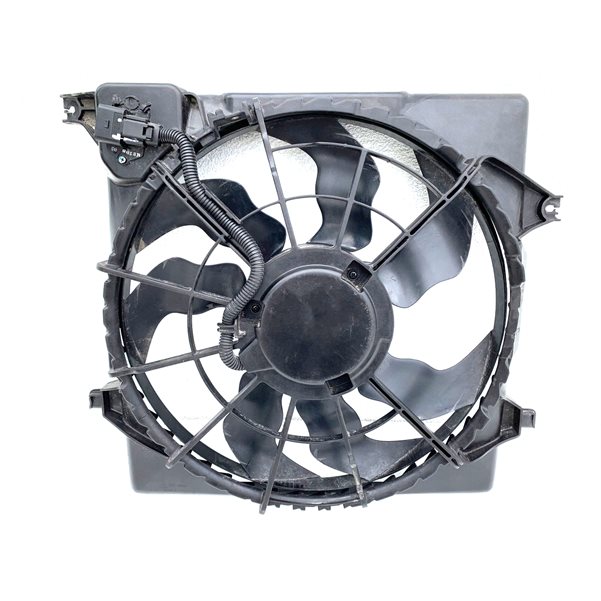 Fan