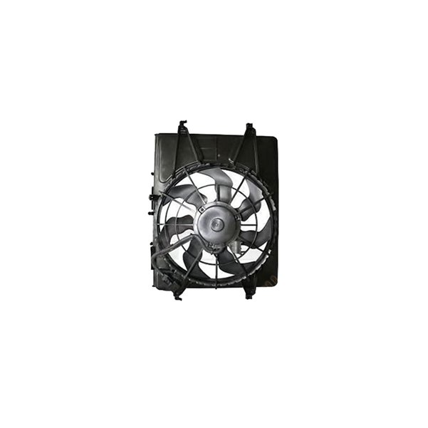 Fan