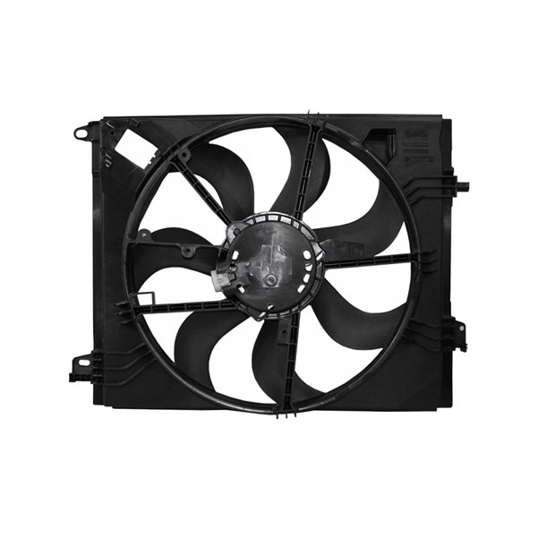 Fan