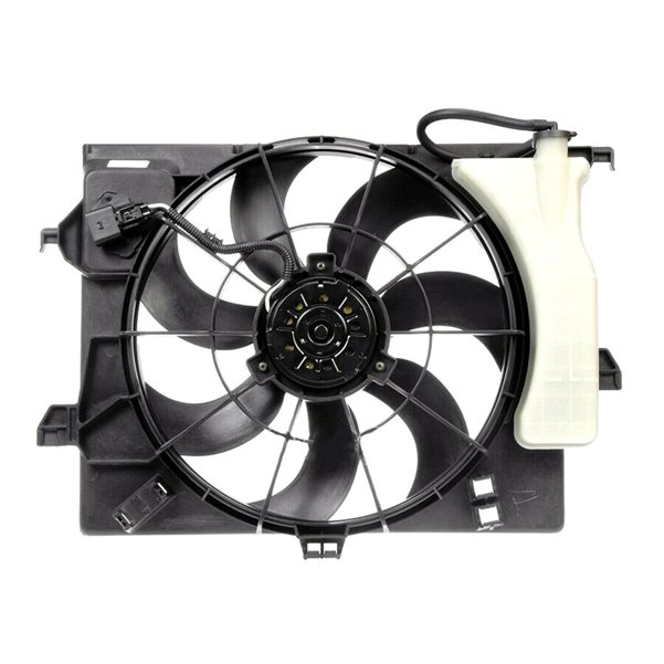 Fan