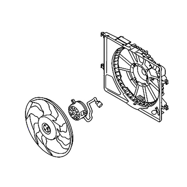 Fan