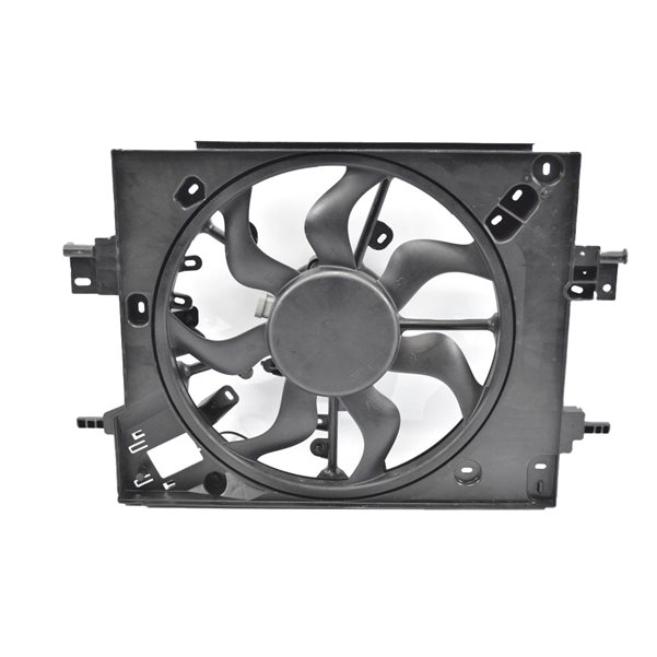 Fan