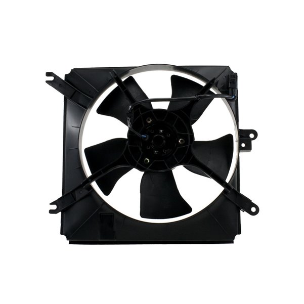 Fan