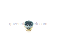 Opel Astra F 1992 1998 modeller için uygun MOTOR SU SICAKLIK SENSÖRÜ Astra F, Astra G, Corsa C, Corsa B (Oval Soket) DELPHI Marka DELPHI